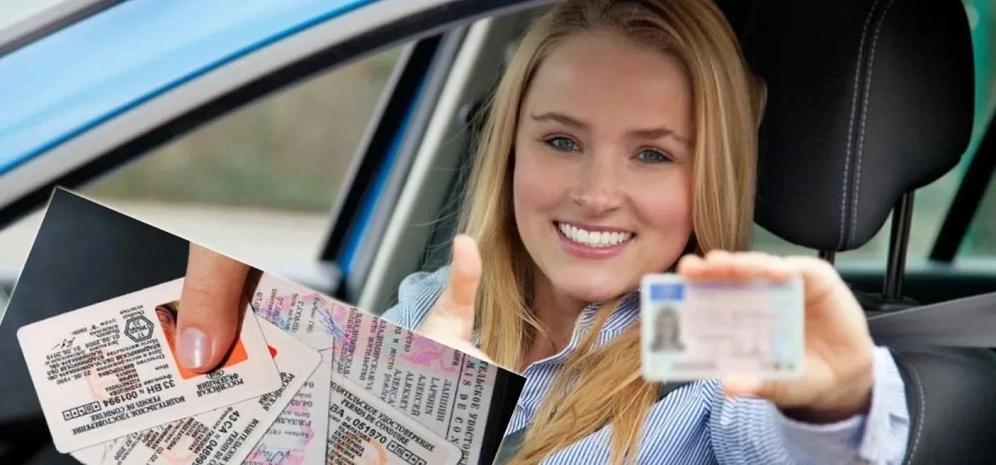 DRIVER LICENSE TRANSLATION